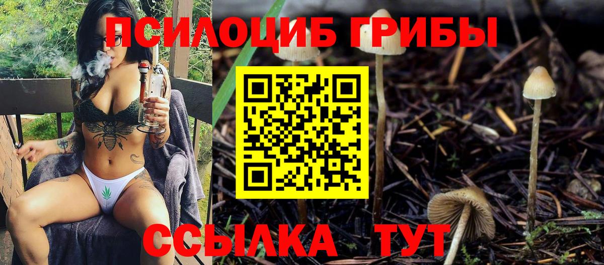 Тверь  Галлюциногенные грибы GOLDEN TEACHER  Вход с VPN 